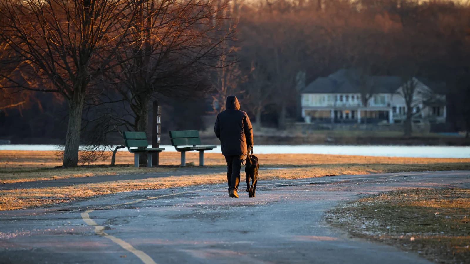 Persoană plimbând un câine pe o alee din parc, văzută din spate